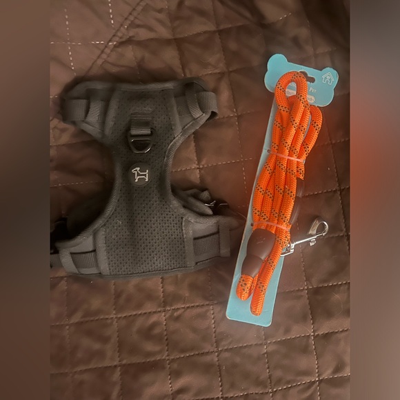 Harness and leash - Picture 2 of 7